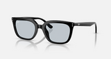 RB4439D Low Bridge Fit