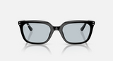 RB4439D Low Bridge Fit