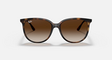 RB4378F Low Bridge Fit