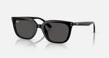RB4439D Low Bridge Fit