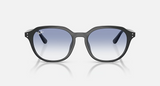 RB4459D Low Bridge Fit