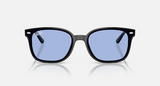 RB4461D Low Bridge Fit