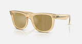 RBR0502S Wayfarer Reverse