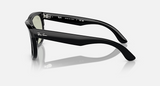 RBR0502S Wayfarer Reverse