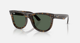 RBR0502S Wayfarer Reverse