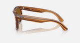 RBR0502S Wayfarer Reverse