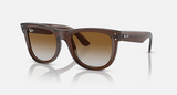 RBR0502S Wayfarer Reverse