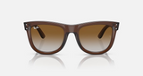 RBR0502S Wayfarer Reverse