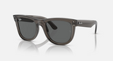 RBR0502S Wayfarer Reverse