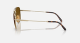 RB8097 William Titanium