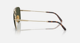 RB8097 William Titanium